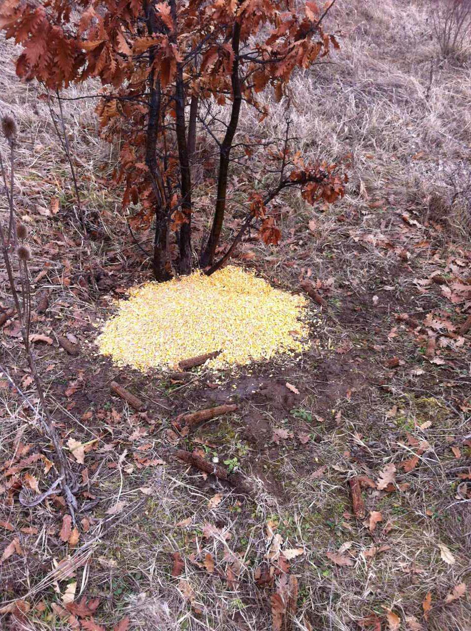 Prihrana u sezoni 2015./2016.