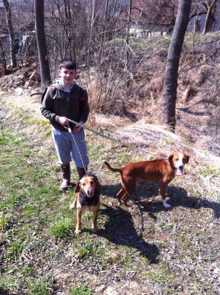 Lovačka sekcija Bukovac