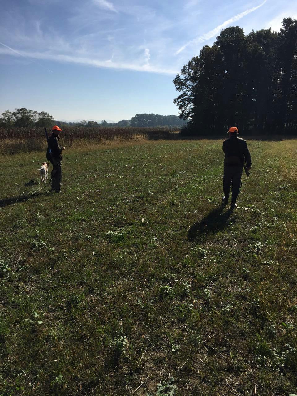 Lov 25.10.2015.godine