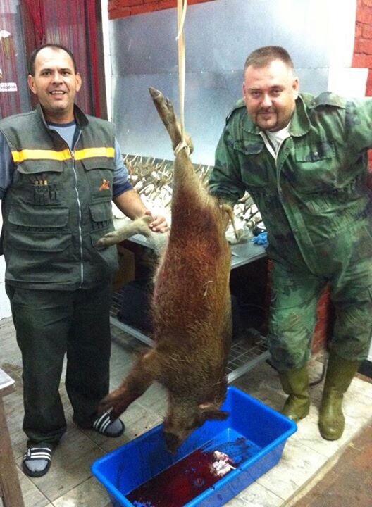 Srećni lovci Sale I Sladjan pored odstreljenog nazimara