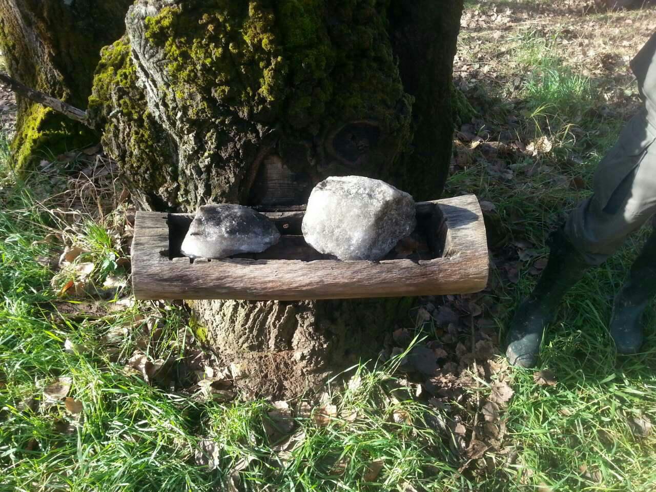 Iznošenje soli