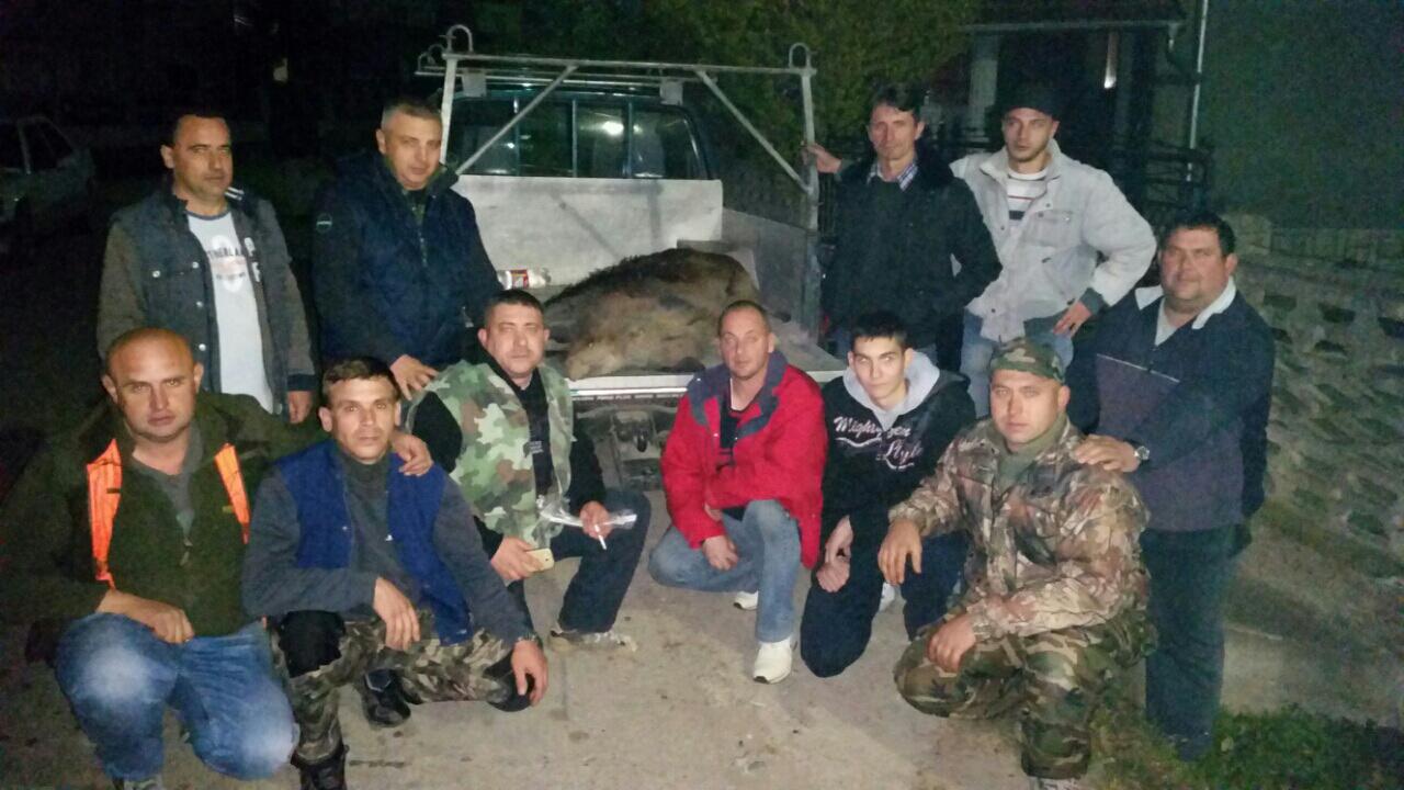 Odstrel divlje svinje 2015.godine