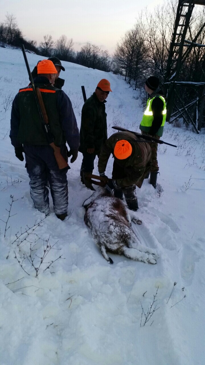 Lovačka sekcija Grabovica