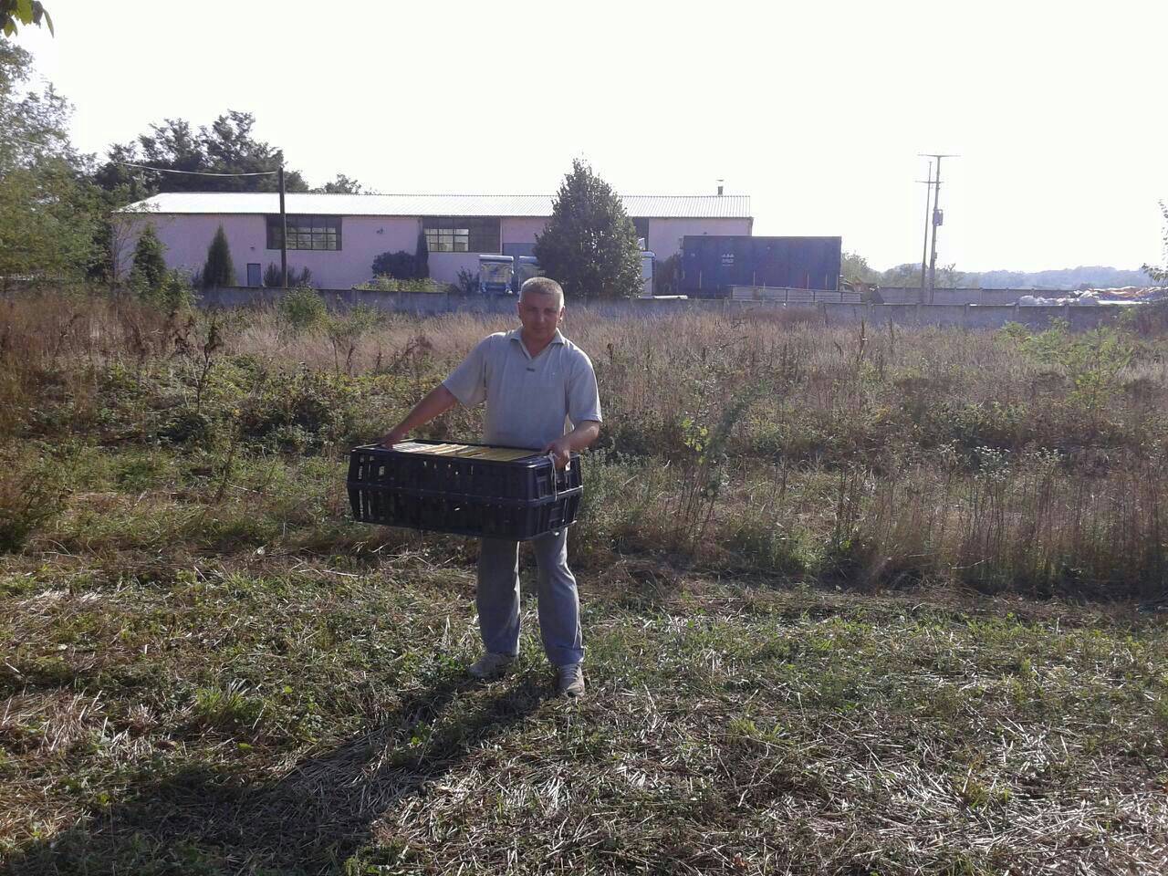 Predsednik LS Grabovica ispusta fazane 2015.godine