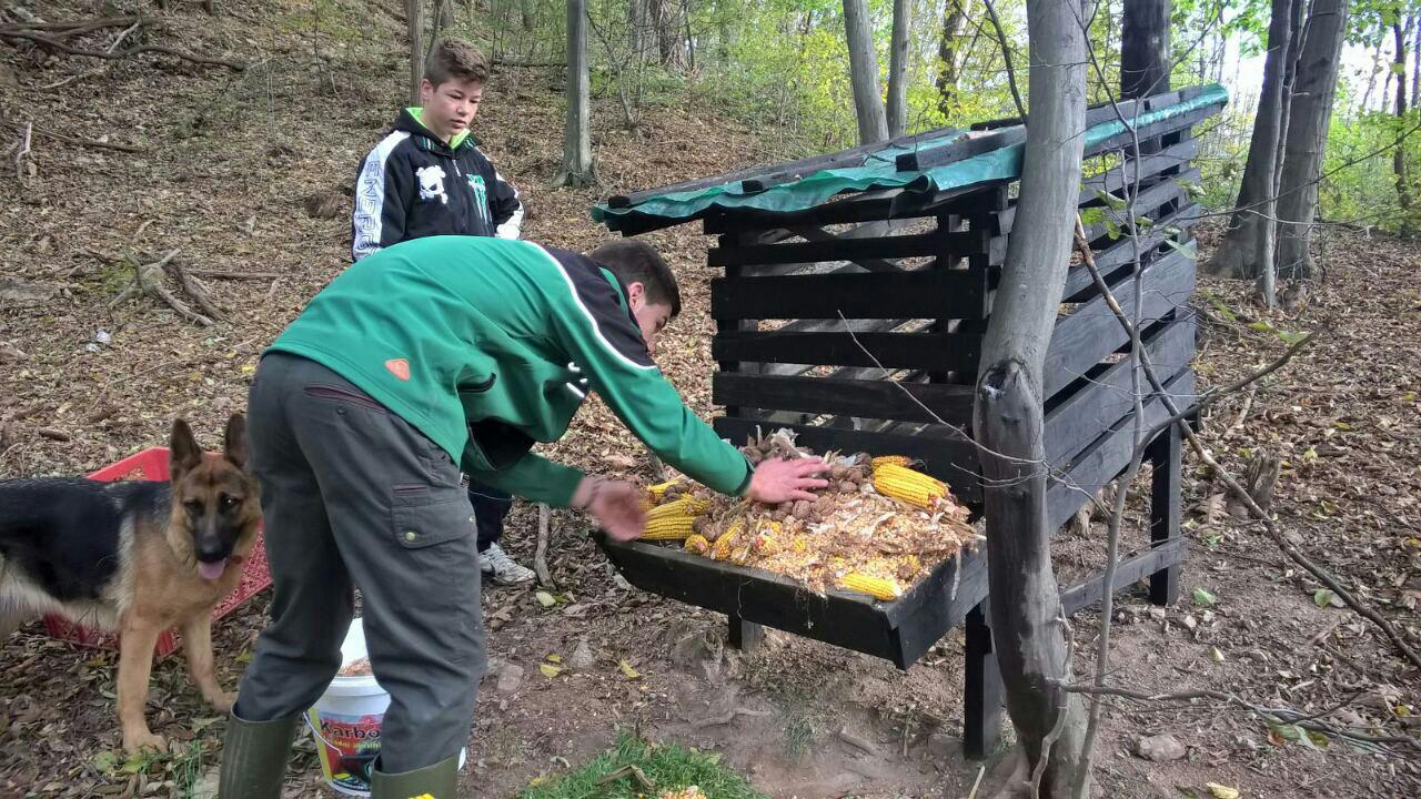 Prehrana divljači u LS Plažane