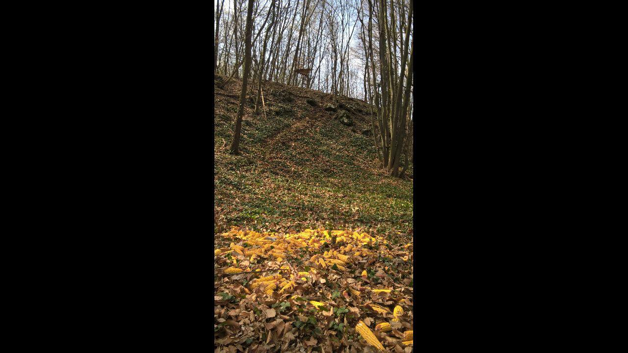 Čeka u sekciji Plažane