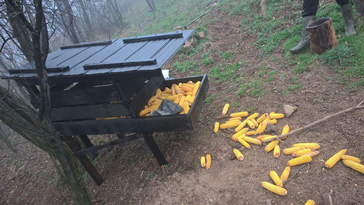 Postavljanje hranilice